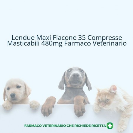 Teknofarma Lendue Maxi 480 Mg Compresse Masticabili Per Cani Di Grossa Taglia