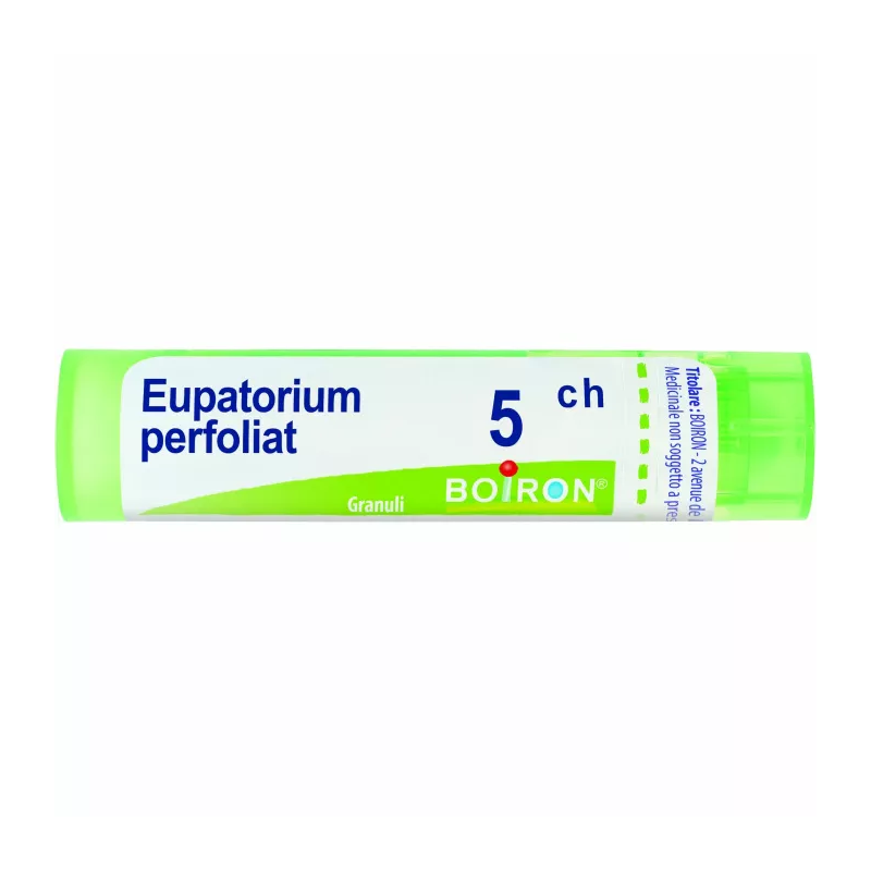 Boiron Eupatorium P Boi 5ch80gr