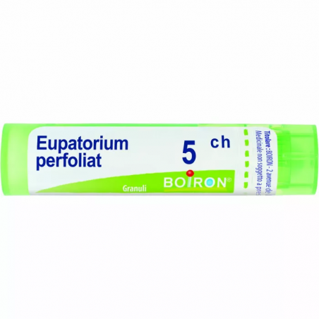 Boiron Eupatorium P Boi 5ch80gr