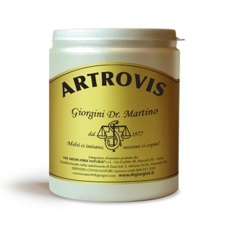 Dr. Giorgini Artrovis Polvere 360 G