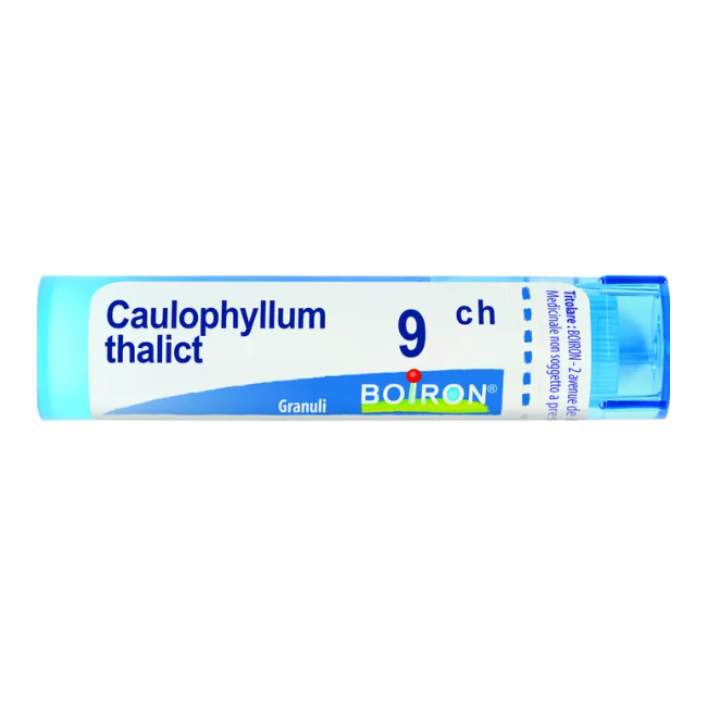 Tubo con tappo dosatore da 80 granuli di Caulophyllum 9ch della Boiron.