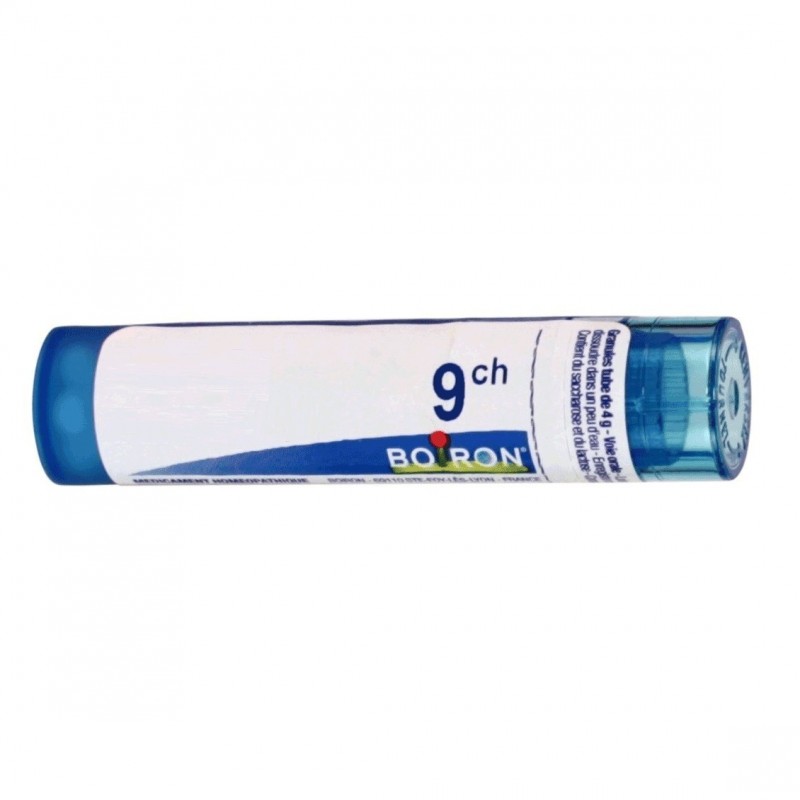 Boiron China Regia Boi 9ch 80gr 4g