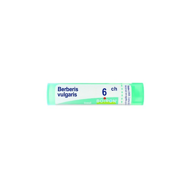 Boiron Berberis Vulg Boi 6ch 80gr 4g