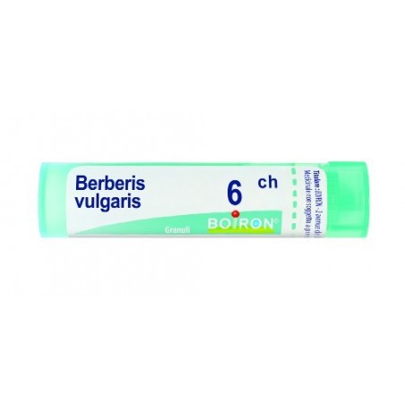 Boiron Berberis Vulg Boi 6ch 80gr 4g