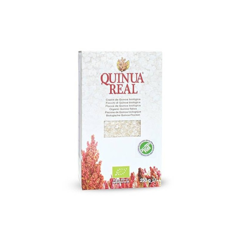 Biotobio Quinua Real Fiocchi Di Quinoa Bio Vegan 250 G