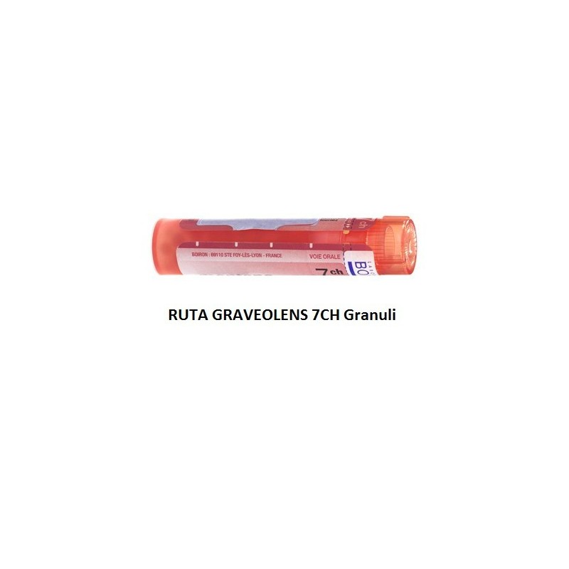 Boiron Ruta Grav Boi 7ch 80gr 4g