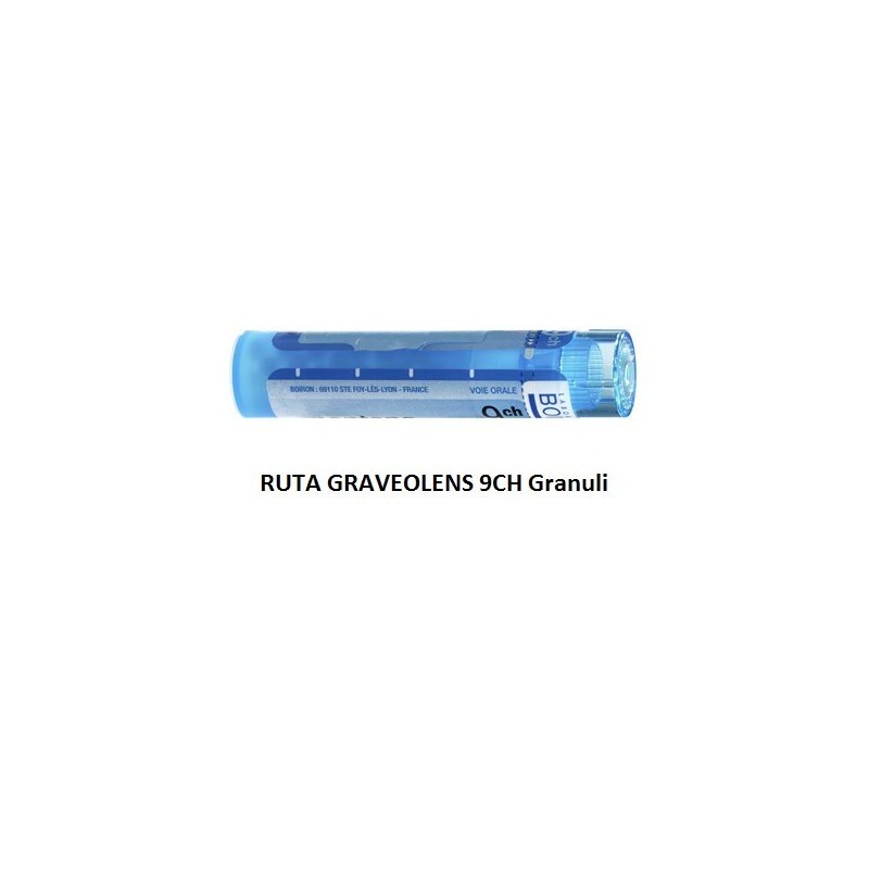 Boiron Ruta Grav Boi 9ch 80gr 4g