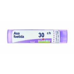 Tubo da 80 granuli di Asa Foetida 30ch della Boiron