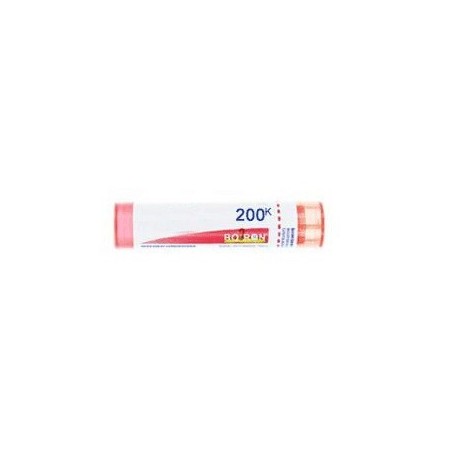 Boiron Bryonia Alba Boi 200k 80gr 4g