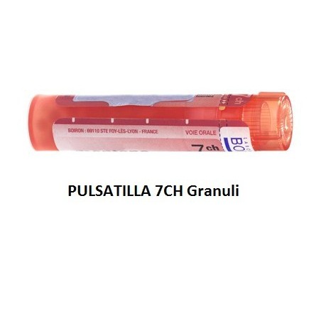 Boiron Pulsatilla Boi 7ch 80gr 4g