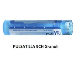 Boiron Pulsatilla Boi 9ch...