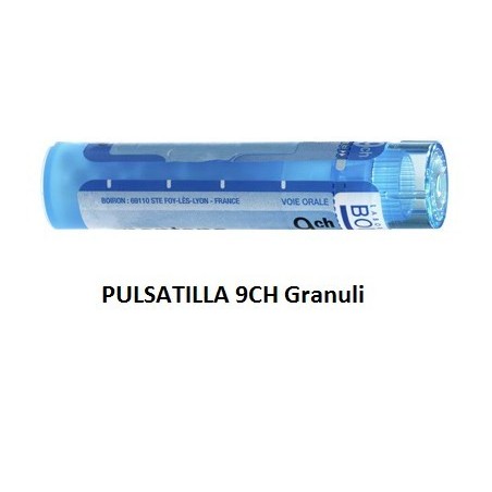 Boiron Pulsatilla Boi 9ch 80gr 4g