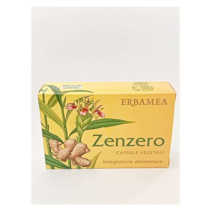 Erbamea Zenzero 24 Capsule Vegetali