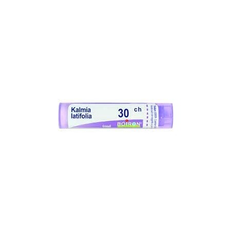 Boiron Kalmia Latif Boi 30ch 80gr 4g