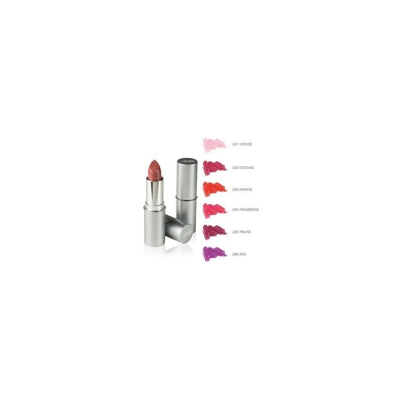 I. C. I. M. Internation Defence Color Bionike Rossetto Semitrasparente Lipshine 206 Cassis