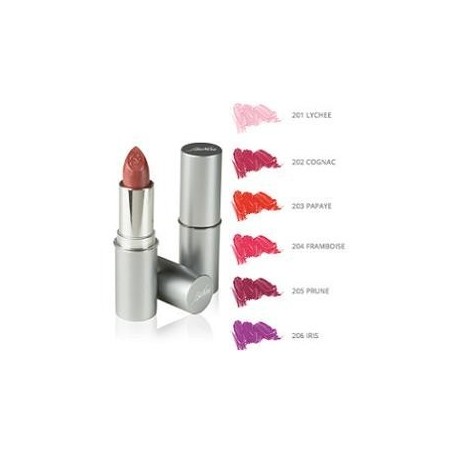 I. C. I. M. Internation Defence Color Bionike Rossetto Semitrasparente Lipshine 206 Cassis