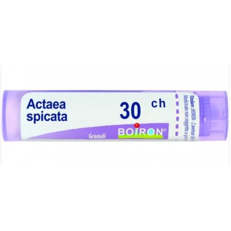 Boiron Actaea Spic Boi 30ch 80gr 4g