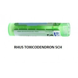 Boiron Rhus Toxicod Boi 5ch...