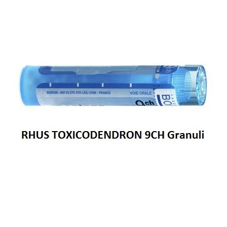 Boiron Rhus Toxicod Boi 9ch 80gr 4g