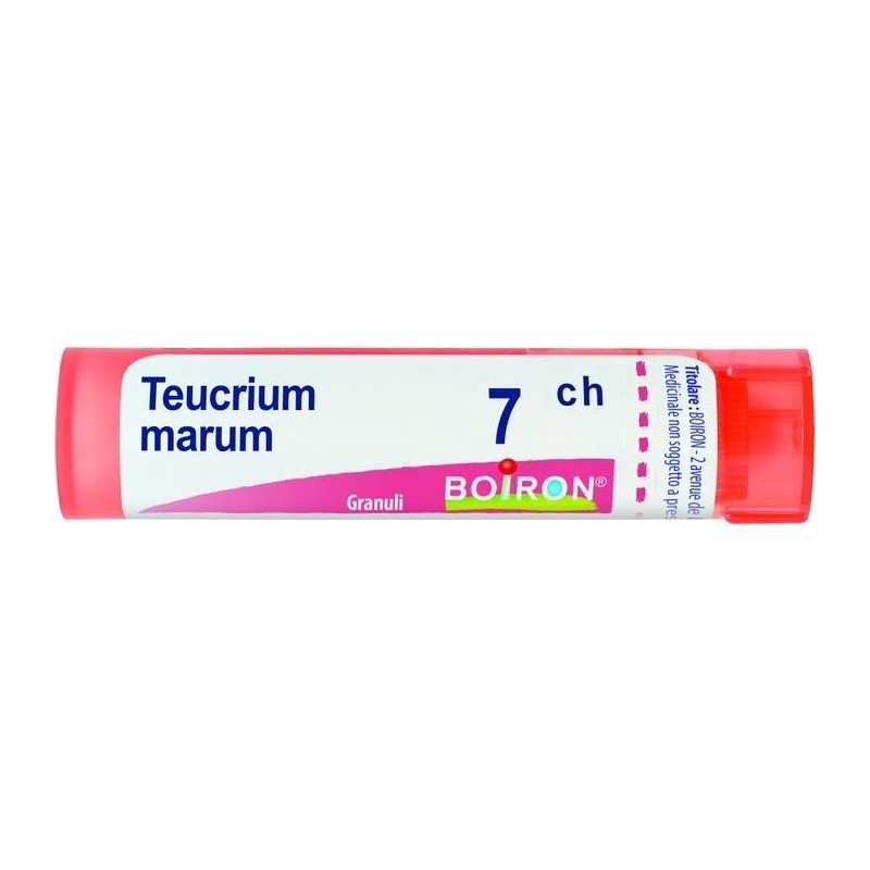 Boiron Teucrium Mar Boi 7ch 80gr 4g