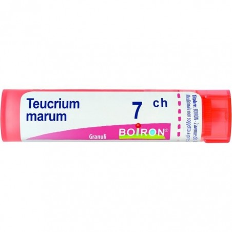 Boiron Teucrium Mar Boi 7ch 80gr 4g