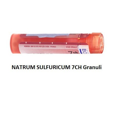 Boiron Natrum Sulf Boi 7ch 80gr 4g