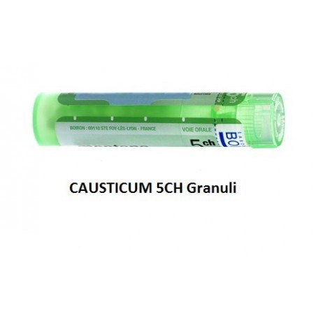 Boiron Causticum Boi 5ch 80gr 4g