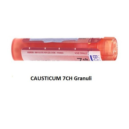 Boiron Causticum Boi 7ch 80gr 4g