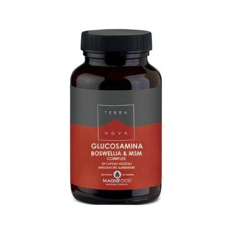 Forlive Terranova Complesso Di Glucosamina Boswellia E Msm 50 Capsule