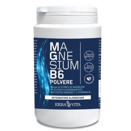 Erba Vita Group Magnesium B6 Polvere 200 G