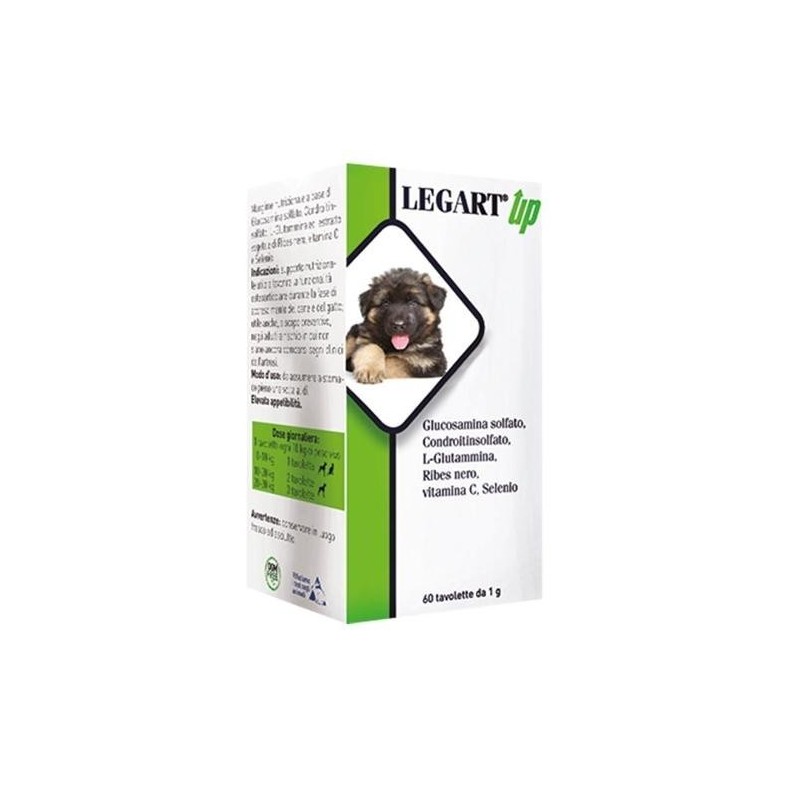 Aurora Biofarma Legart Up 120 Compresse