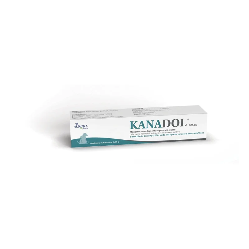 Aurora Biofarma Kanadol Pasta 30 G