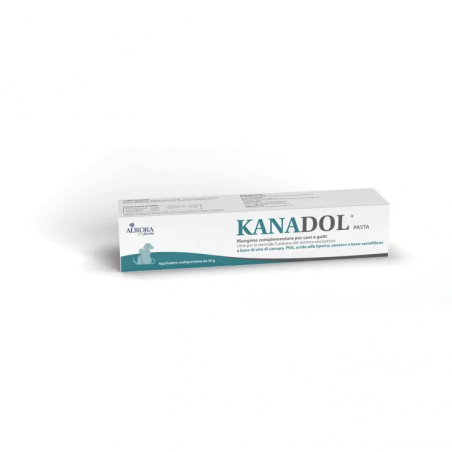 Aurora Biofarma Kanadol Pasta 30 G