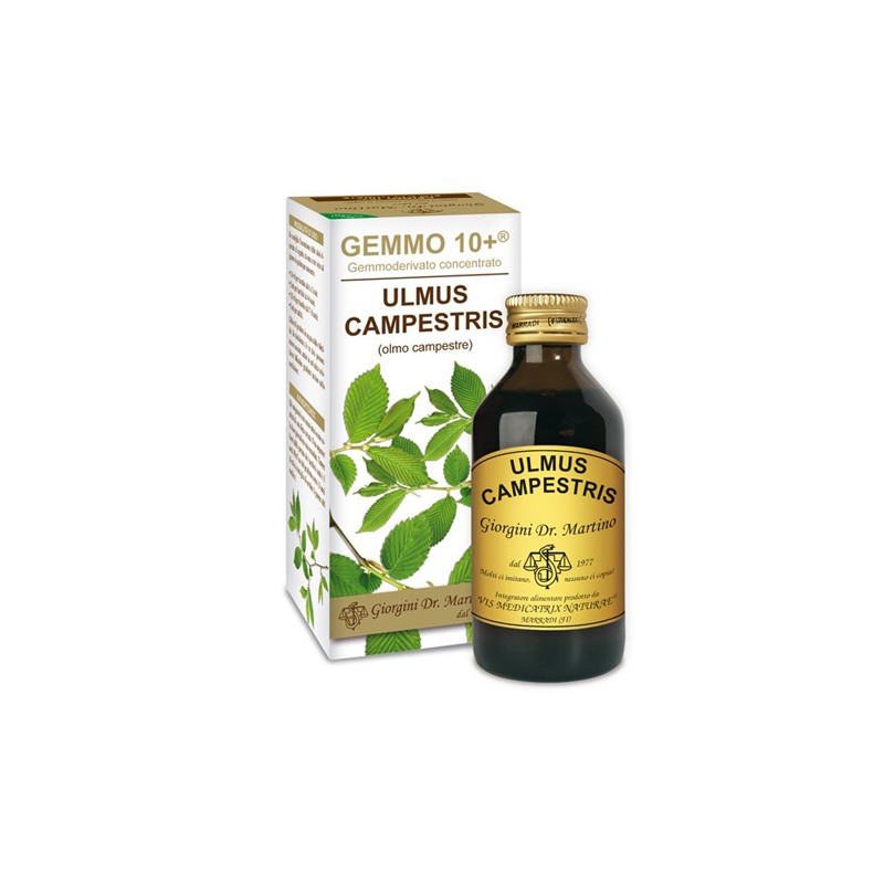 Dr. Giorgini Gemmo 10+ Olmo Campestre 100 Ml Liquido Analcolico