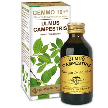 Dr. Giorgini Gemmo 10+ Olmo Campestre 100 Ml Liquido Analcolico