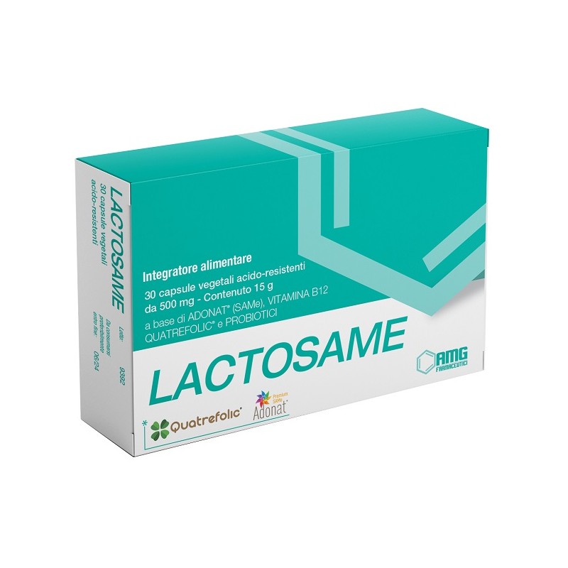 Amg Farmaceutici Lactosame 30 Capsule