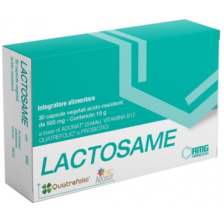 Amg Farmaceutici Lactosame 30 Capsule