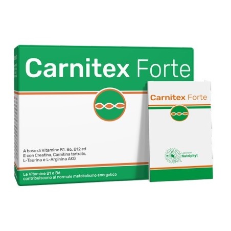 Anvest Health Soc. Benefit Carnitex Forte 14 Bustine