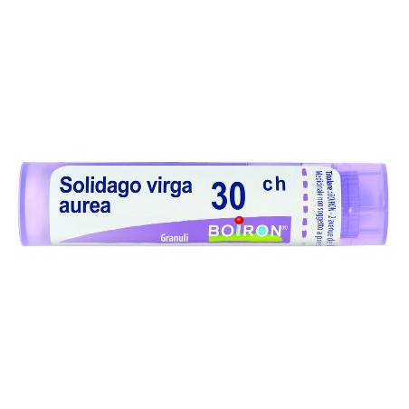 Boiron Solidago Virga Aurea 30ch Gr