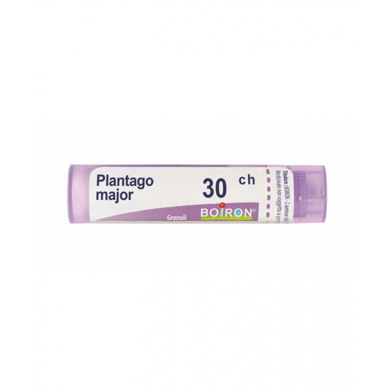 Boiron Plantago Major 30ch Gr