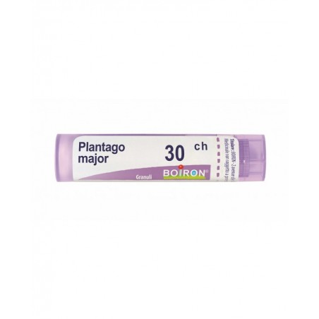 Boiron Plantago Major 30ch Gr