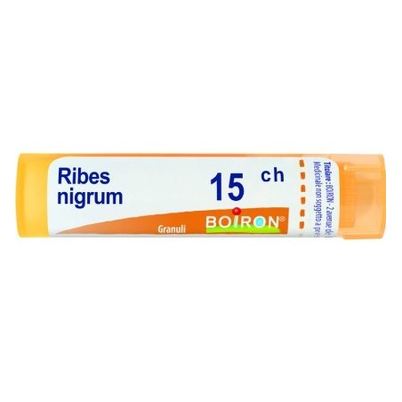 Boiron Ribes Nigrum 15ch Gr