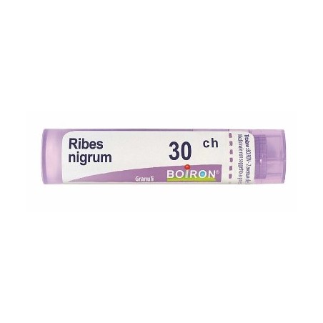 Boiron Ribes Nigrum 30ch Gr