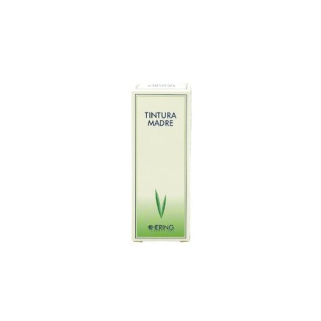 Hering Ginkgo Biloba 125 Ml Tintura Madre