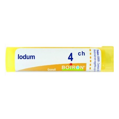 Boiron Iodum 4ch Gr