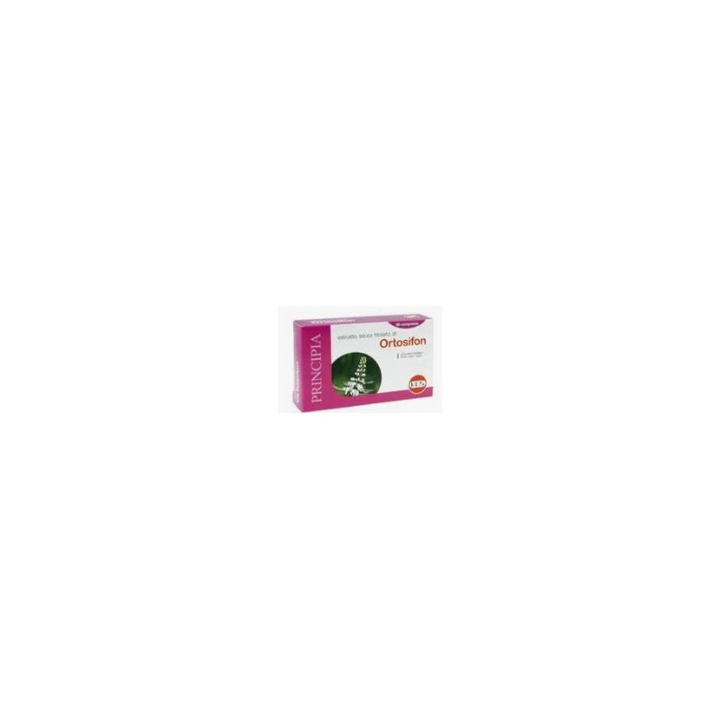 Biodue Orthosiphon Estratto Secco Titolato 0,2% 100 G