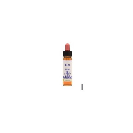 Natur Elm Essenza 10 Ml 1 Pezzo