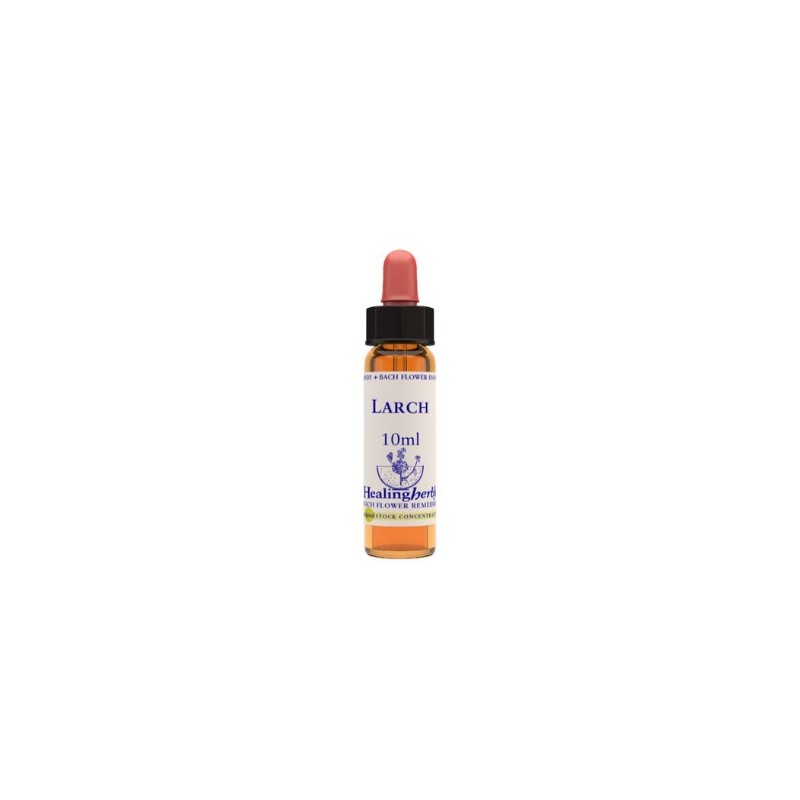 Natur Larch Essenza 10 Ml 1 Pezzo