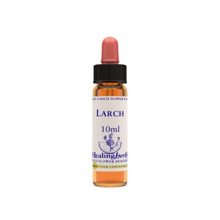 Natur Larch Essenza 10 Ml 1 Pezzo