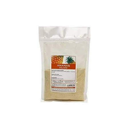 Acef Ananas Gmb Polvere 100 G